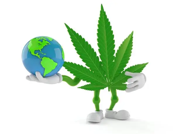 Cannabis character holding world globe isolated on white background. 3d illustration