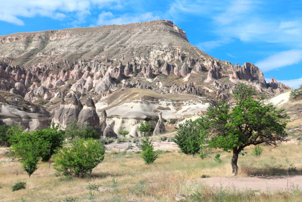 istock Fairy Chimney or Multihead stone mushrooms, Cappadocia, Turkey 1253509189