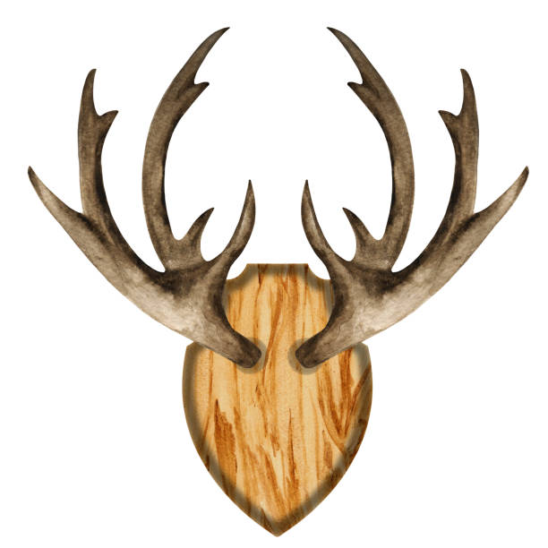 istock Watercolor antlers on wooden board 1253509308