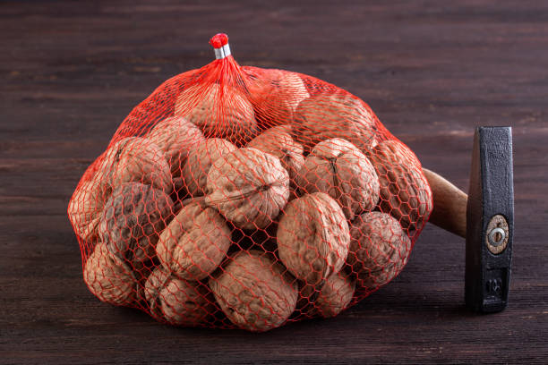 Mesh with walnut and hammer on a wooden background