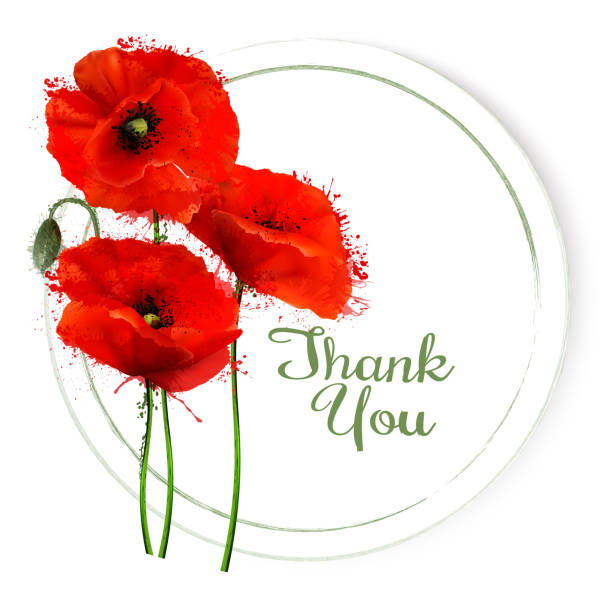 Natural getting card with red poppies flowers. Vector. Natural getting card with red poppies flowers. Vector. red poppy stock illustrations