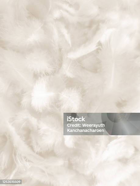 598,000+ White Fluff Stock Photos, Pictures & Royalty-Free Images - iStock