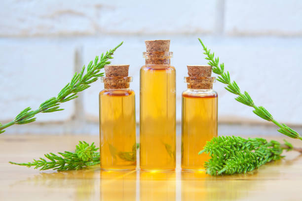 istock horsetai essential oil in  beautiful bottle on table 1253516347