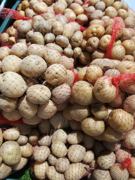 imagen de patatas recién recolectadas en bolsas de patata de red roja, supermercado de comestibles producir puesto de pasillo, vista elevada de primer plano - raw potato clean red red potato fotografías e imágenes de stock