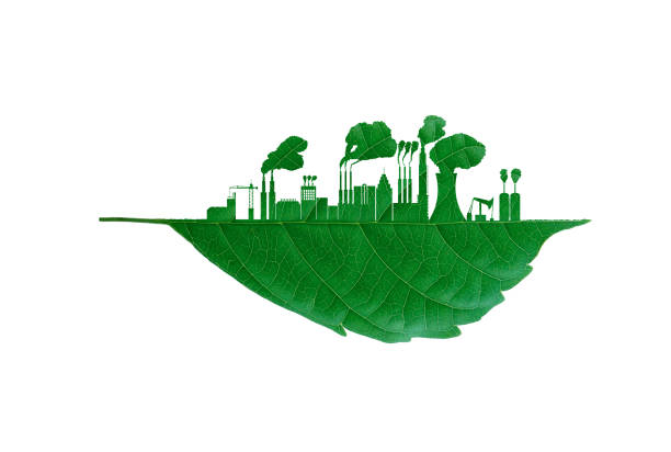 istock Industrial factory cutting leaf. 1253516906