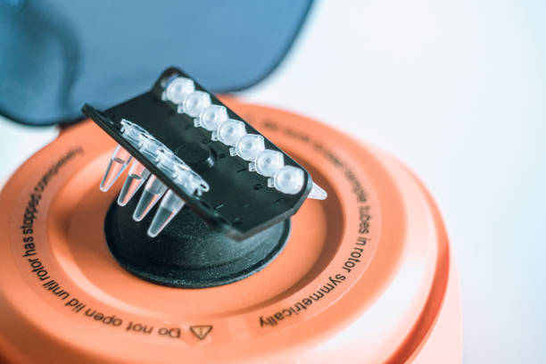 istock laboratory centrifuge with samples tubes. Laboratory equipment 1253517036