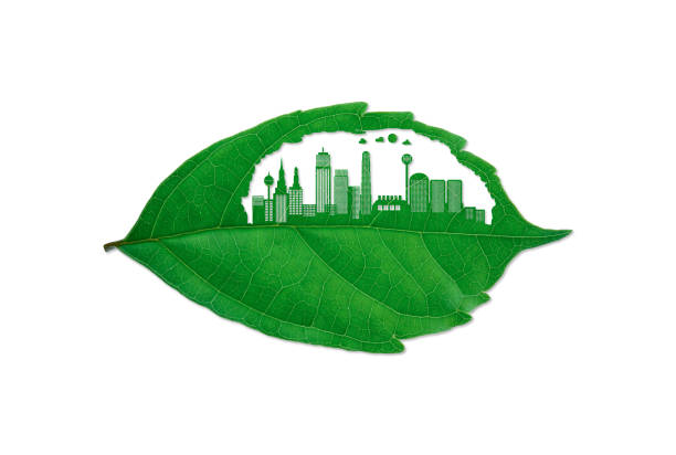 istock Toxic smoke destroys the environment. 1253518081