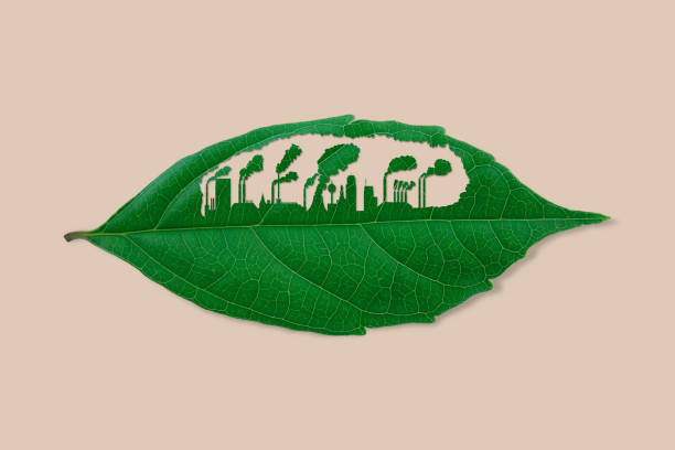 istock Industrial factory cutting leaf. 1253518184
