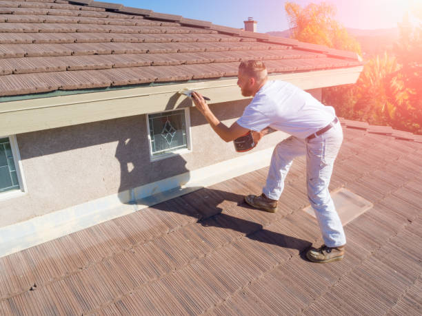 istock Professional Painter Using A Brush to Paint House Fascia 1253519104