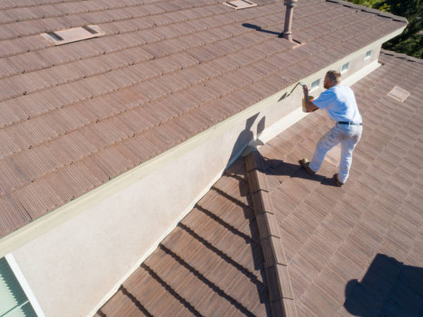 istock Professional Painter Using A Brush to Paint House Fascia 1253519145