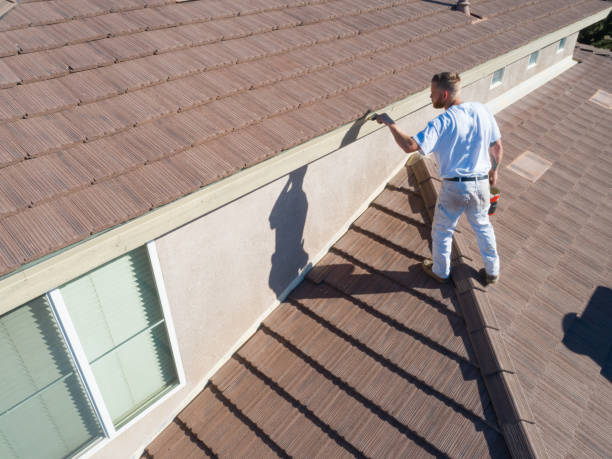 istock Professional Painter Using A Brush to Paint House Fascia 1253519203