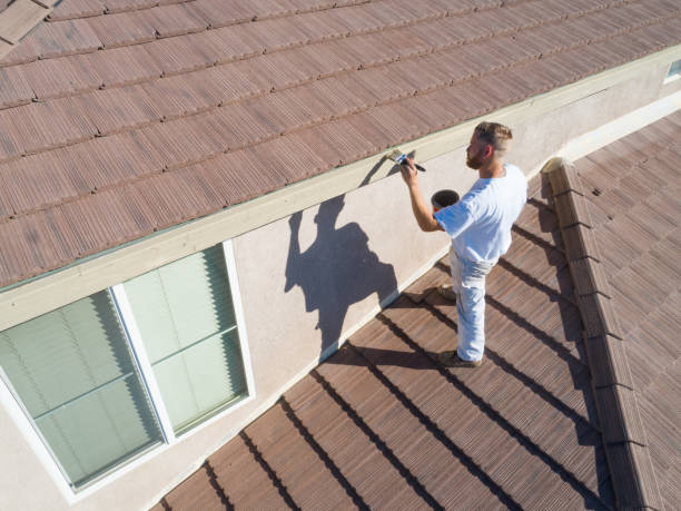 istock Professional Painter Using A Brush to Paint House Fascia 1253519225