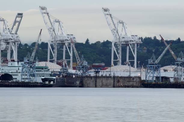 istock Large Commercial Dock During A Cloudy Morning 1253521233