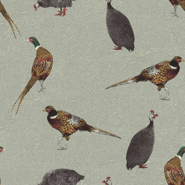 illustrations, cliparts, dessins animés et icônes de quail & pheasant game bird repeat pattern - pheasant hunting feather game shooting