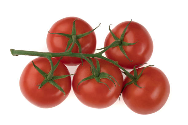 istock Branch with five tomatoes on a white background 1253522222