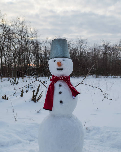 istock Snowman with a bucket on his head and a red scarf. 1253522681