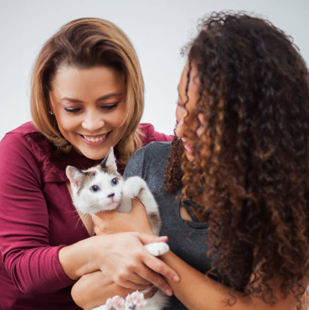 maman et fille caressant leur chat souriant - adoption early teens teenager family photos et images de collection