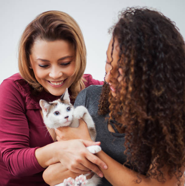 mãe e filha acariciando seu gato ambos sorrindo - adoption early teens teenager family - fotografias e filmes do acervo