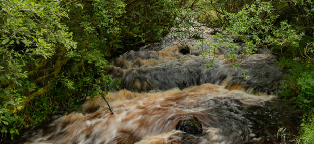 グレナリフ森林公園、コーズウェイコースト、北アイルランドを通る川の急速な流れ - nobody non urban scene long exposure county antrim ストックフォトと画像