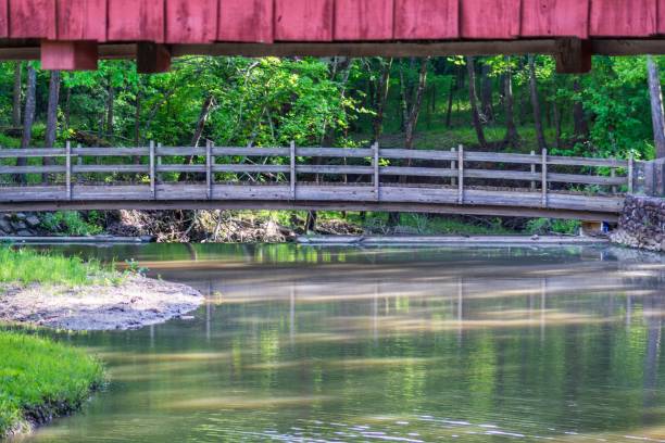 istock Bridge Over Stream in Local Park 1253523961