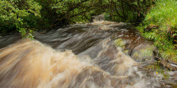 グレナリフ森林公園、コーズウェイコースト、北アイルランドを通る川の急速な流れ - nobody non urban scene long exposure county antrim ストックフォトと画像