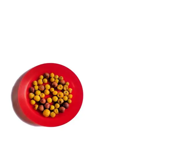 Photo of Yellow and brown nances on a red plate with white background, typical fruit of Guatemala