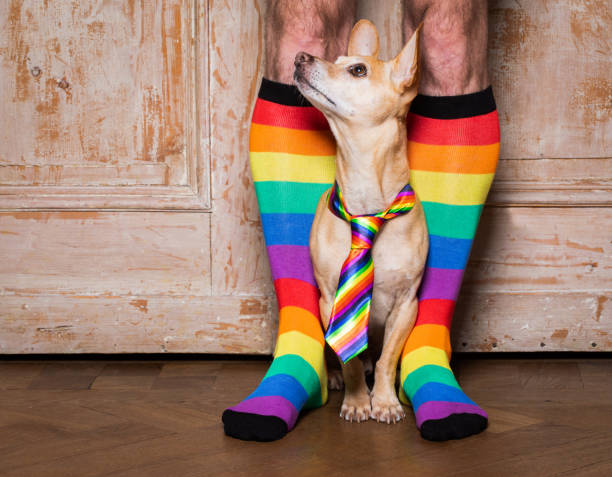 263 Very Funny Gay Dog Stock Photos, Pictures & Royalty-Free Images - iStock 263 Very Funny Gay Dog Stock Photos, Pictures & Royalty-Free Images - iStock