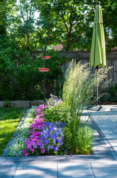 Beautiful Small Garden Filled with Flowers and Two Red Hummingbird Feeders on a Shepherd Hook