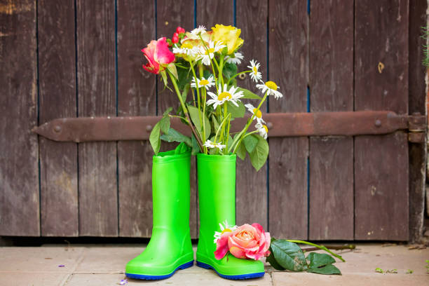 Rubber boots with beautiful flowers in garden