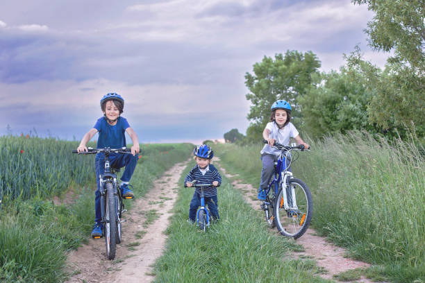 istock Children, riding bikes on rural path, summer evening 1253530537
