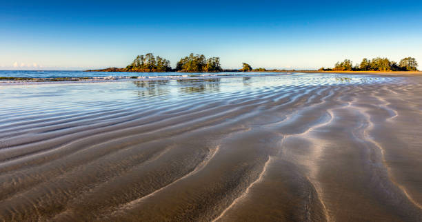 istock ripples in the sand in Tofino Canada 1253531679