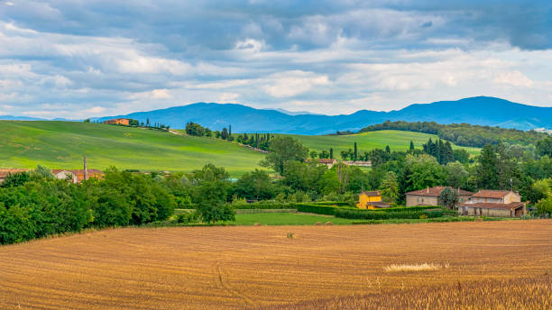istock wheat fields in Tuscany Italy 1253531789