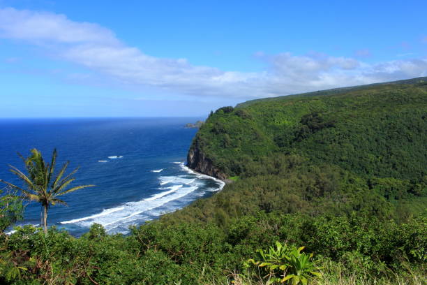 Pololu Valley Lookout Looking out over Hawaii's Pololu Valley pololu stock pictures, royalty-free photos & images