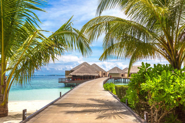 istock Water Villas (Bungalows) in the Maldives 1253536962