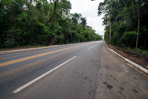 Highway photographed in Linhares, Espirito Santo. Southeast of Brazil. Atlantic Forest Biome. Picture made in 2014.
