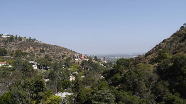 istock Hollywood California Residential Hills 1253539617