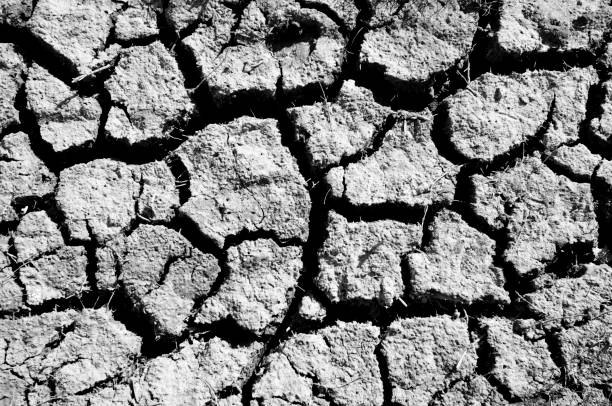 erozja gleby - dirt eroded nature abstract nature zdjęcia i obrazy z banku zdjęć