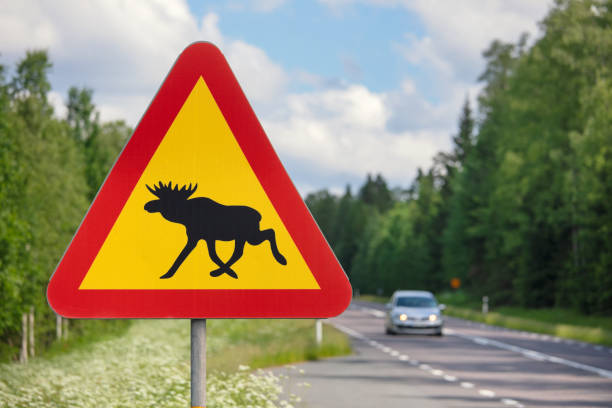 ムース警告 - moose crossing sign ストックフォトと画像