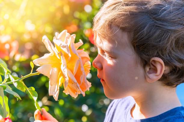 istock Little caucasian boy smiling a rose 1253544431