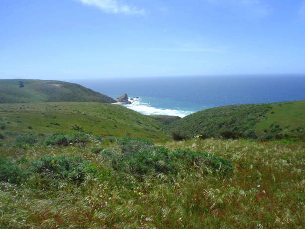 istock Hills rolling into the Sea 1253544573