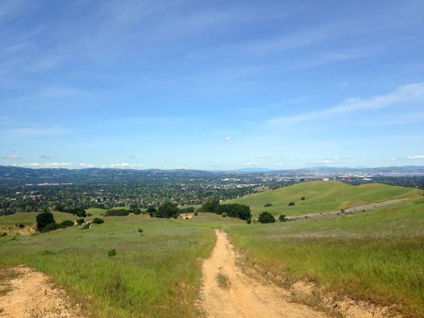istock Green space on the edge of the suburbs 1253544650