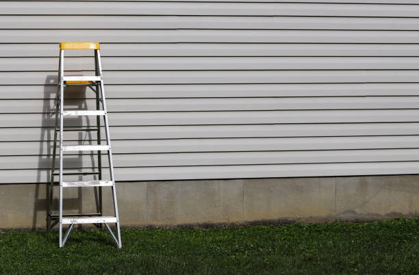 A step ladder against a side of a residential home stock photo