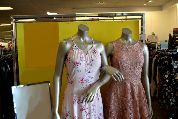 istock Lady Dresses Available for Purchase Inside of a Retail Store 1253551842