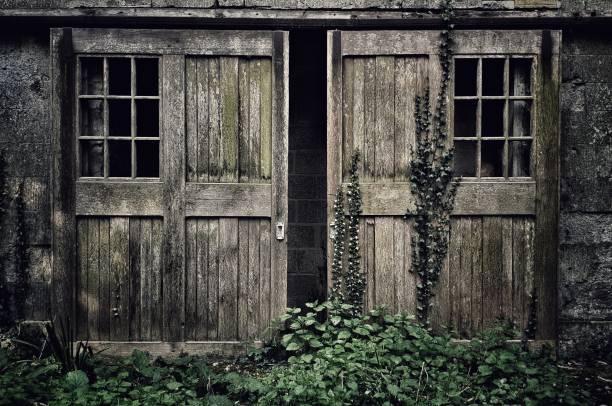 Overgrown sliding wooden doors. Old wooden doors overgrown with ivy leading through to a bricked up doorway in an old abandoned building rustic door stock pictures, royalty-free photos & images