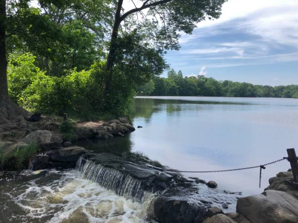 istock Summer by the Little Waterfall at Belmont Lake 1253559064