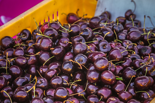 Cherries at the local market of Oamaru, New Zealand.