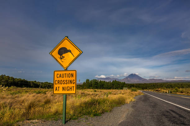 istock New Zealand views 1253559380