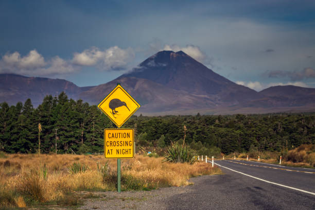 istock New Zealand views 1253559385