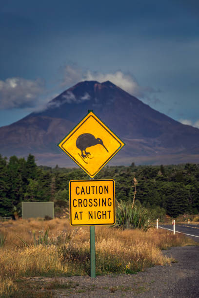 뉴질랜드 전망 - tongariro crossing 뉴스 사진 이미지