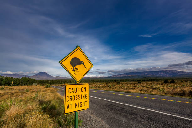 istock New Zealand views 1253559387